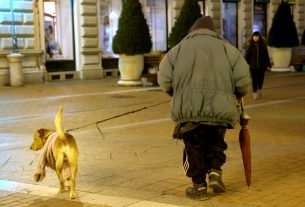 Szeged, hajléktalan, Kárász utca, kutya, hideg, tél, fagy