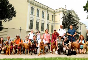 Szeged, Vizslakalandorok, vizsla, kutya, találkozó, fagyi, fagylalt